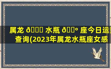 属龙 🐞 水瓶 🐺 座今日运势查询(2023年属龙水瓶座女感情运势)